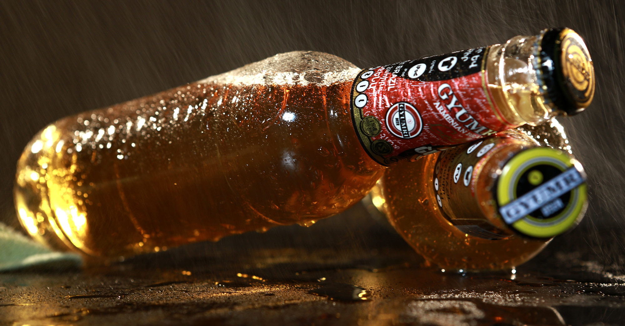 gyumribeer1