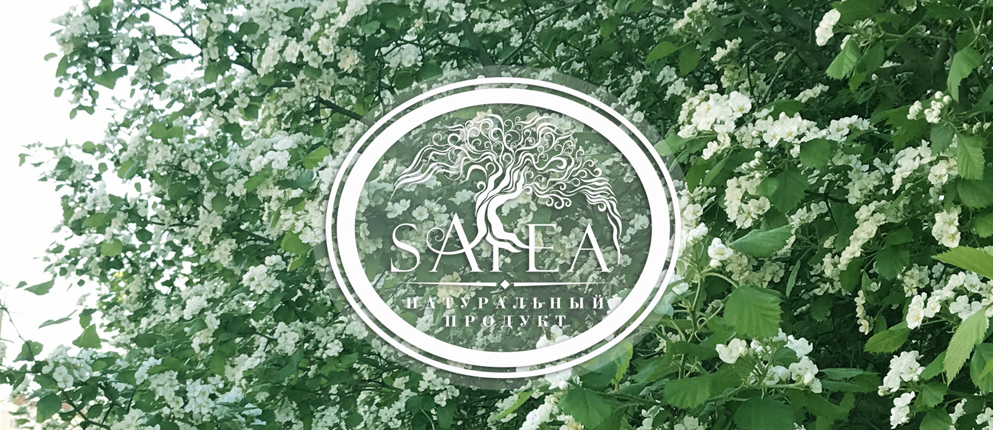 sateatree