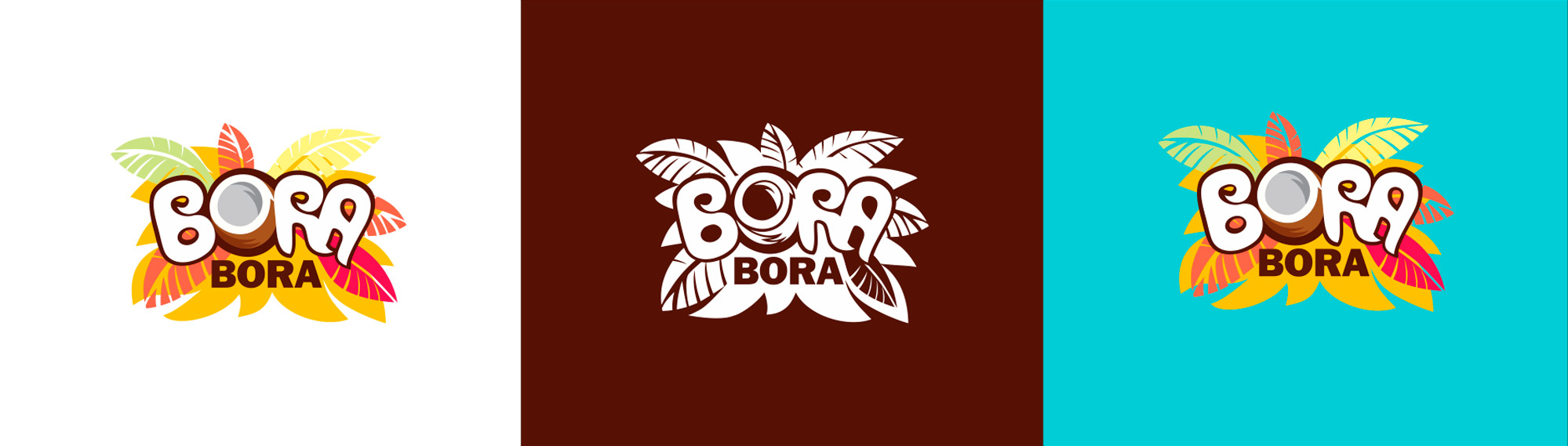 bora-logo